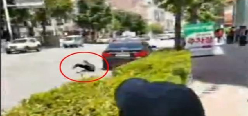 Sərxoş sürücü yol polisini sürüdü