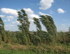 Bakıda güclü külək əsəcək