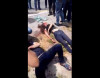 Sumqayıtda ölümcül qəzanın görüntüləri yayılıb