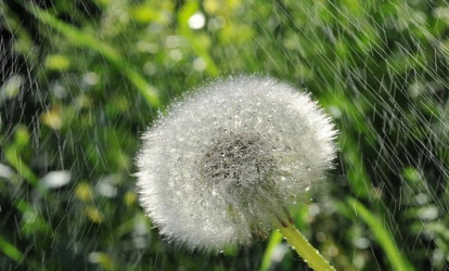 Hava şəraiti dəyişir