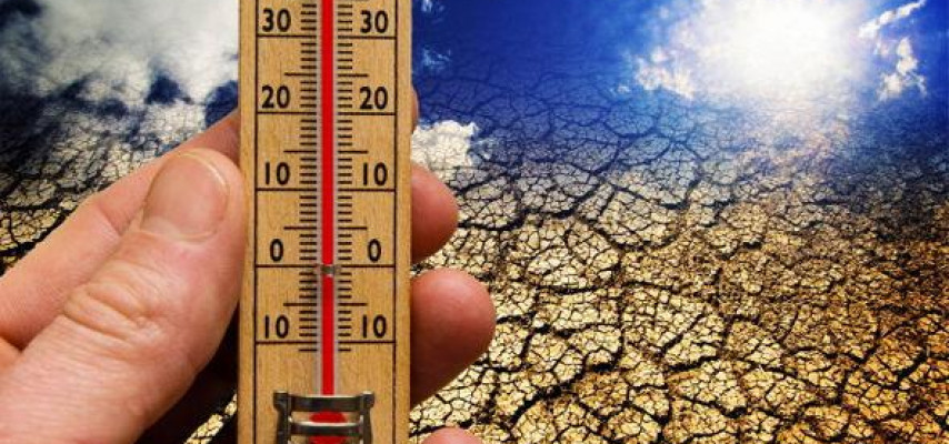Havanın temperaturu 40 dərəcəyə yüksələcək