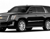 Məhşur boksçu «Cadillac»la darvazaya girdi