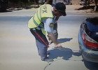 Yol polisi maşınların qazını yoxlamağa başladı – Bir ay reyd olacaq