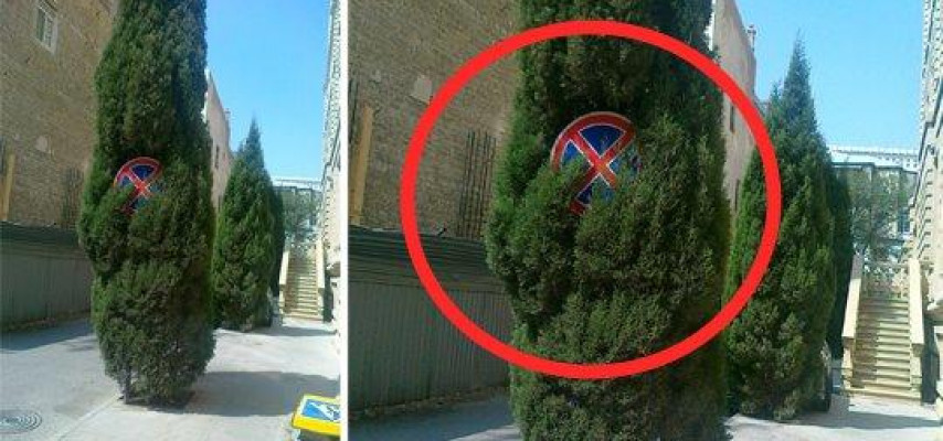 Sürücülərin görmədiyi yol nişanlarına da növbə çatdı