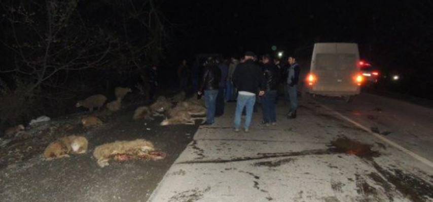 Avtobus qoyun sürüsünü vurdu: 9 ölü