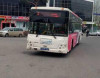 Bu avtobuslarla bağlı qərar iki həftəyə veriləcək