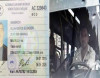 Şou göstərən avtobus sürücüsü ilə bağlı daha bir ŞOU – FOTOFAKT