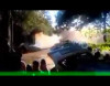 Ralli yarışında qəza: 6 ölü