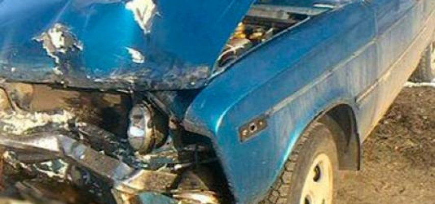 İnək yola çıxdı, bir ailənin 5 üzvü qəzaya düşdü