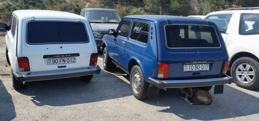 Bir gündə 20 «Niva» cərimə meydançasına salındı