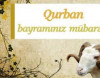 Qurban Bayramınız mübarək!