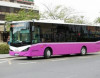 NİİM: Bakıda 20 saylı marşrut avtobusu işə salınır