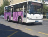 Yeni marşrut avtobusu istifadəyə verilir
