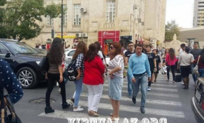 Vəhşi təbiətin yaratdığı insanlar tıxacı belə yaradır