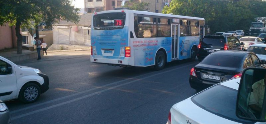 Bu avtobusların sahibi hansı məmurdur