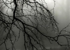 Hava kəskin soyuyacaq, rayonlarda sulu qar, qar yağacaq