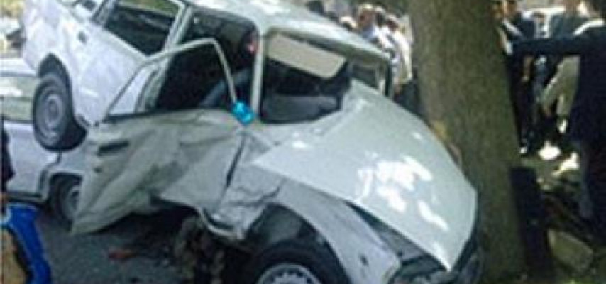 "07" ağaca çırpıldı, sürücü öldü