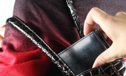 Çantadan 3500 dollar oğurladılar