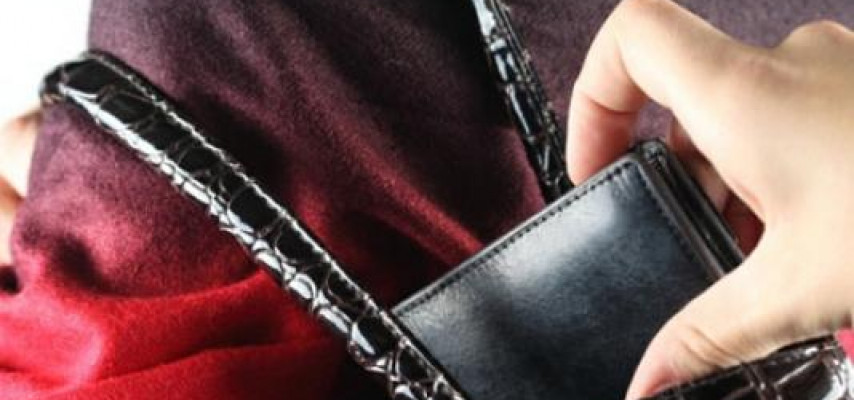Çantadan 3500 dollar oğurladılar