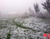 Sabahın hava proqnozu: sulu qar, qar yağacaq