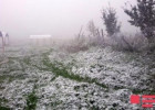 Sabahın hava proqnozu: sulu qar, qar yağacaq