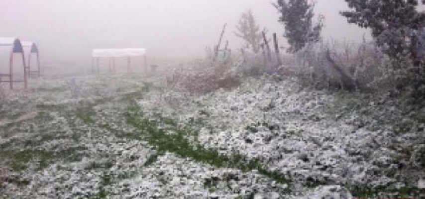 Sabahın hava proqnozu: sulu qar, qar yağacaq