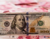 Dollar daha da baha olacaq