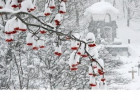 Sabahın hava proqnozu- qar yağacaq