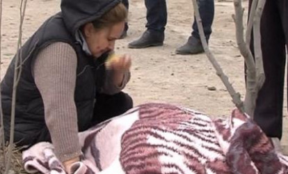 Masazırda yol qəzası - “Makler” öldü