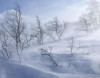 Havalar kəskin soyuyacaq – XƏBƏRDARLIQ
