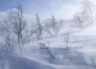Havalar kəskin soyuyacaq – XƏBƏRDARLIQ