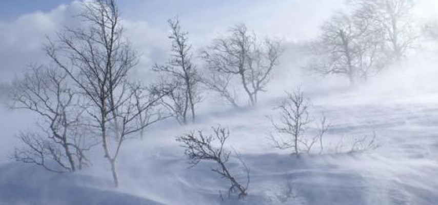 Havalar kəskin soyuyacaq – XƏBƏRDARLIQ