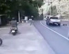 Qurumuş ağac avtomobil yoluna aşdı