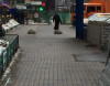 Metroda DƏHŞƏT -  VİDEO