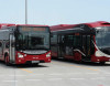 “BakuBus”un qarajında ümumilikdə 302 avtobus var