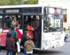 "Paytaxt sakinləri avtobus sürücülərindən şikayətrçidir" - N
