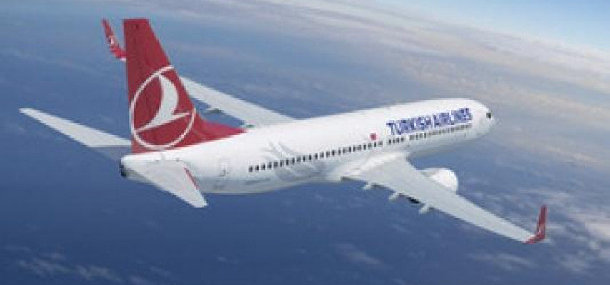 Tanınmış vəkil və məşhur boksçu “Türk Hava Yolları”nı məhkəmədə uddu
