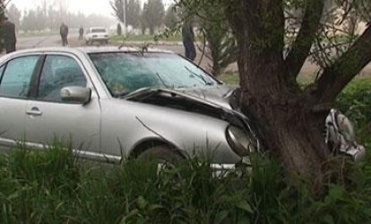 “Mercedes” ağaca çırpıldı: yaralı var