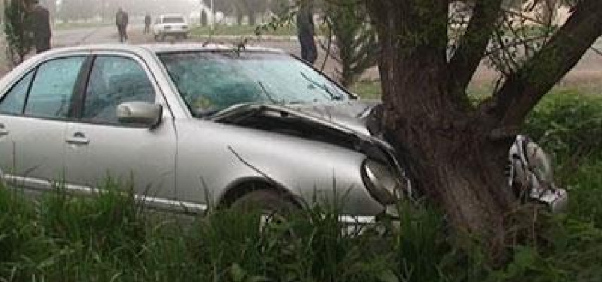 “Mercedes” ağaca çırpıldı: yaralı var