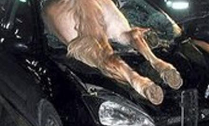 At maşını əzib üstündən keçdi