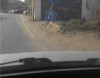 Bakıda qəribə yol nişanları