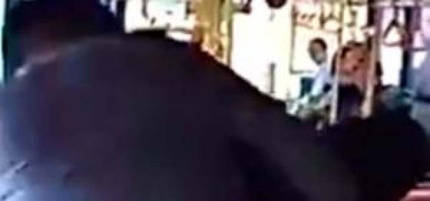 Avtobusda tum çırtlamaq üstündə əlbəyaxa dava