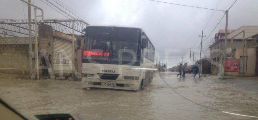 Bakının gəmi əvəzi avtobusları