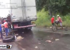 Bu görüntülər qanınızı donduracaq
