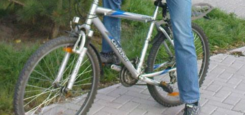 Velosiped oğrusu həbs edildi