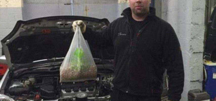 Mühərrikdən fındıq anbarı çıxdı – FOTO