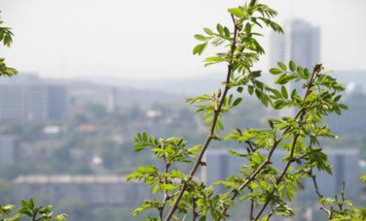 Temperatur düşməyə başladı