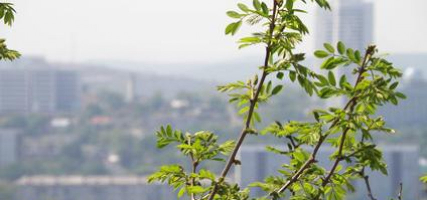 Temperatur düşməyə başladı