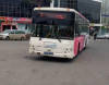 Bakıda avtobus sürücüsündən özbaşınalıq