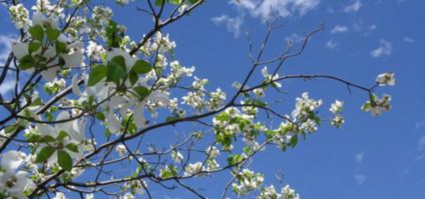 27 aprelin hava proqnozu